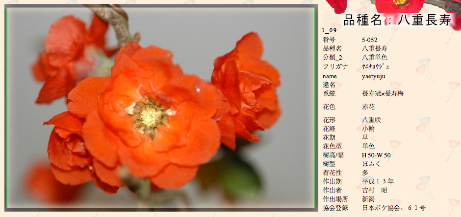 QQ20120619-18.png