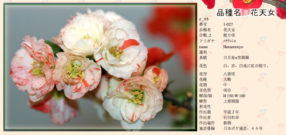 QQ20120619-19.png