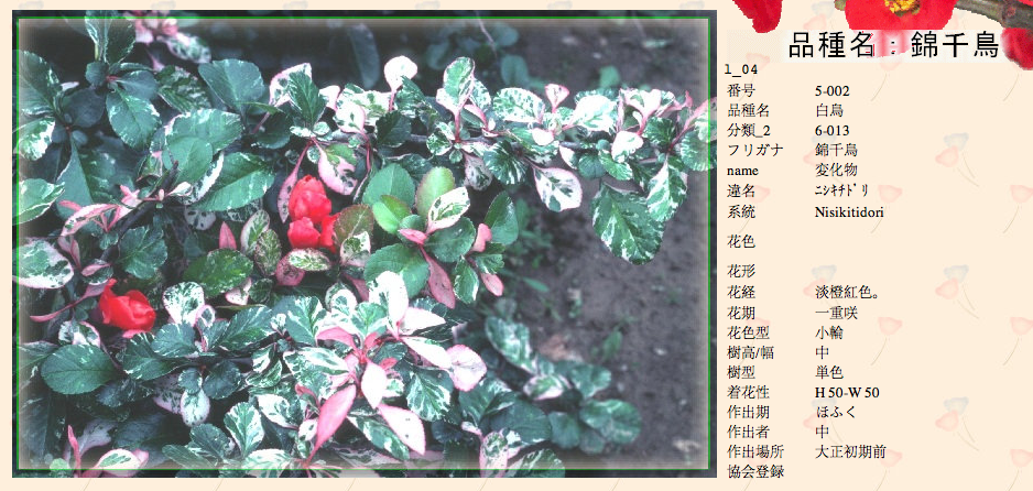 QQ20120619-20.png