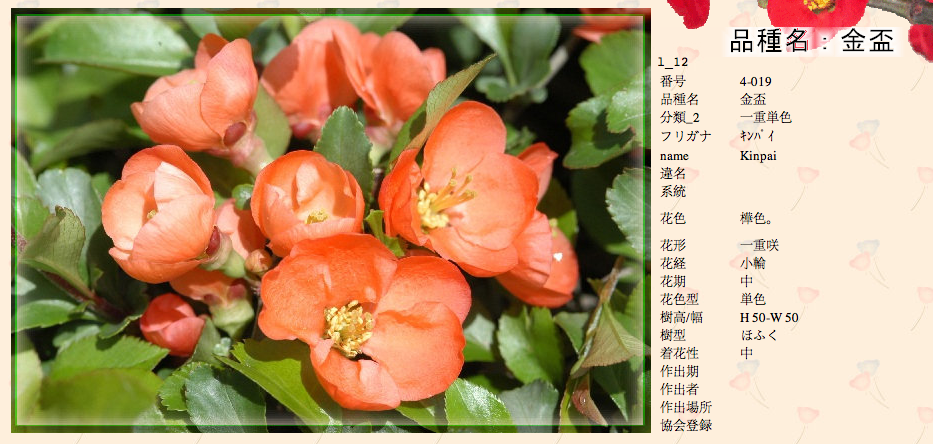 QQ20120619-21.png