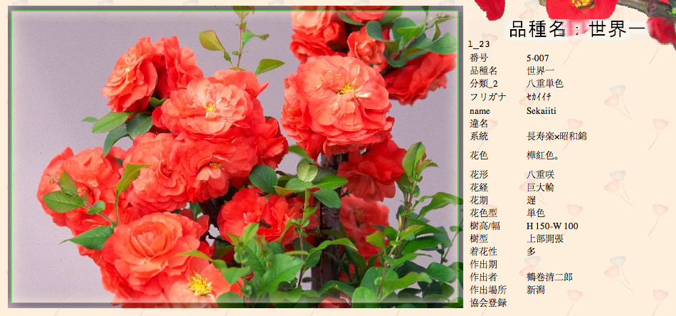 QQ20120619-22.png