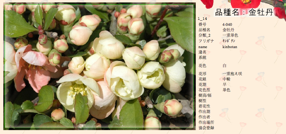 QQ20120619-23.png