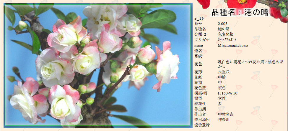 QQ20120619-24.png