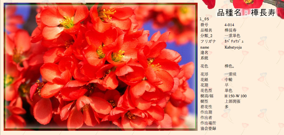 QQ20120619-25.png