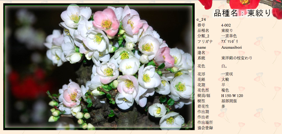 QQ20120619-26.png
