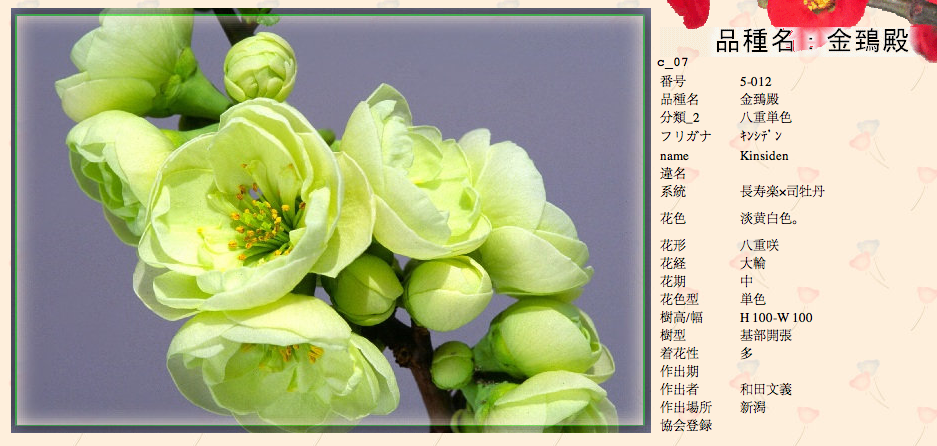 QQ20120619-27.png