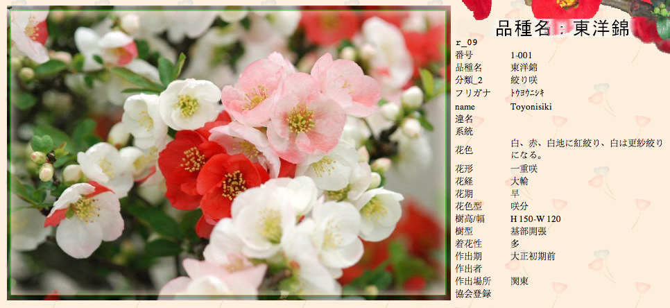 QQ20120619-28.png
