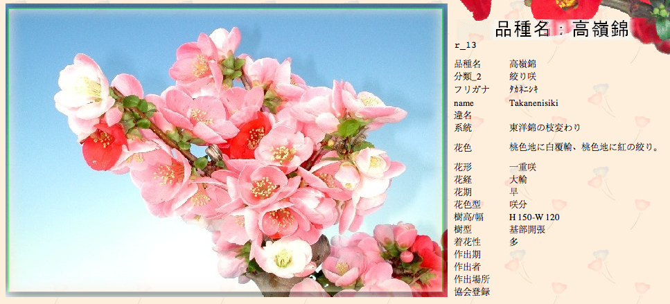 QQ20120619-29.png