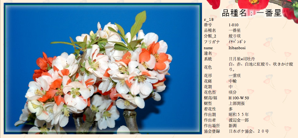 QQ20120619-30.png