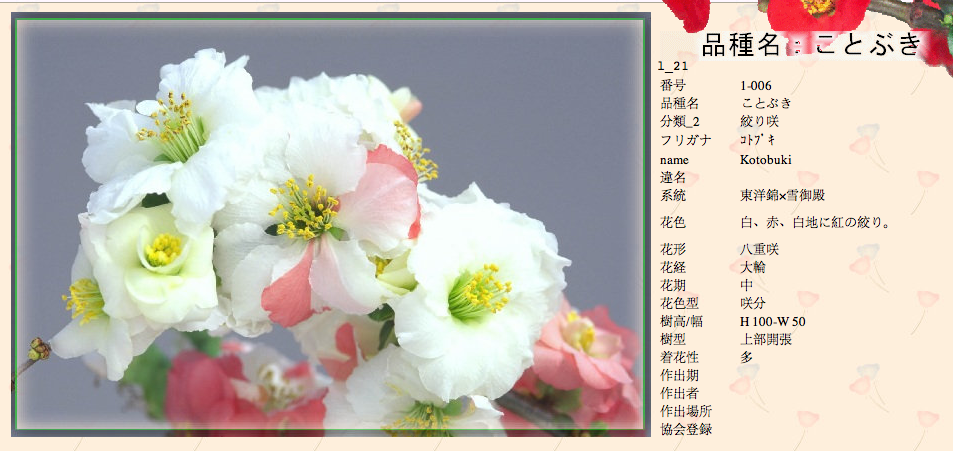 QQ20120619-31.png