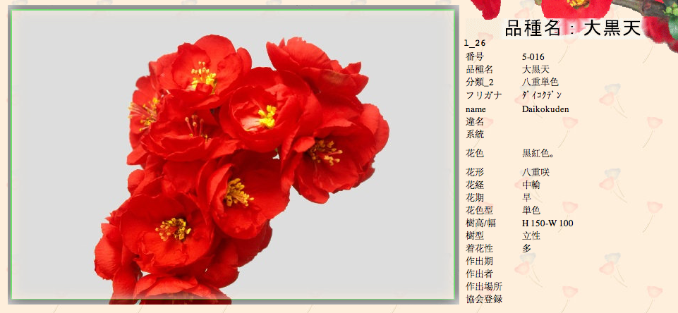 QQ20120619-32.png