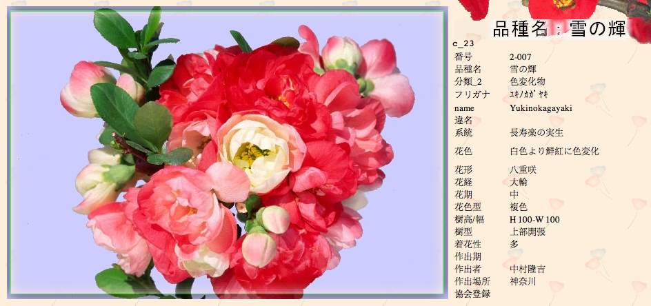 QQ20120619-33.png