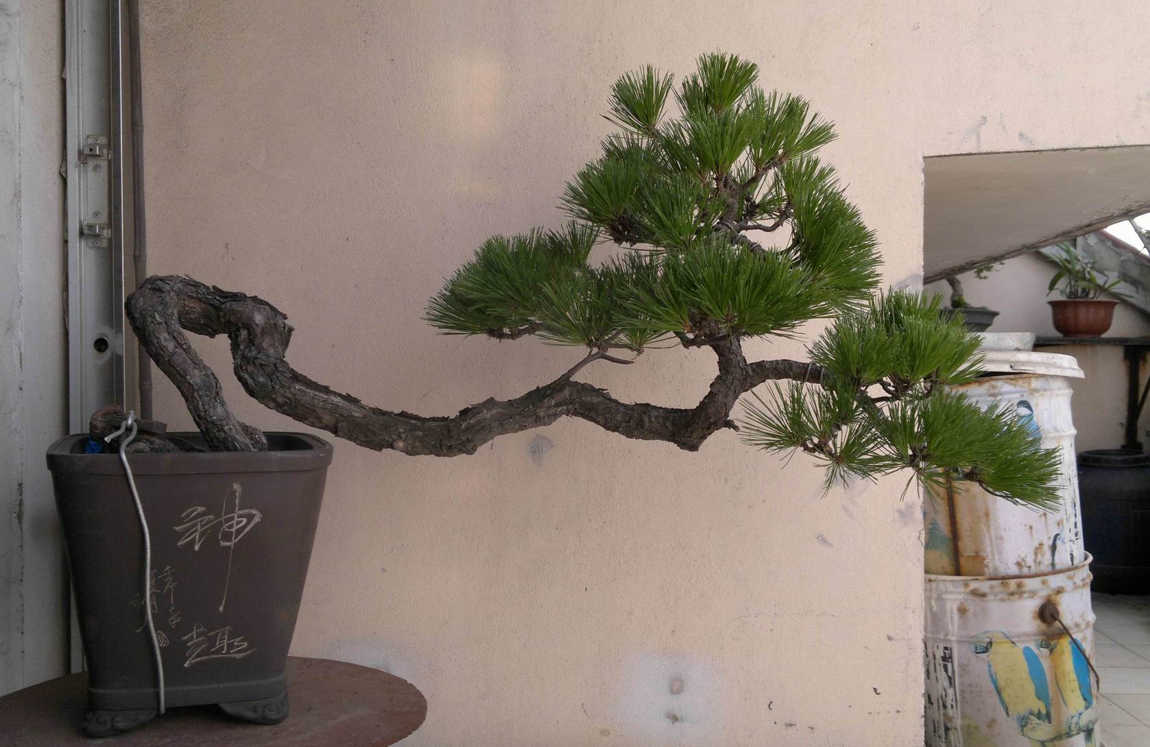 20120619253.jpg