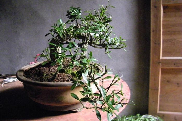 100_1847.jpg