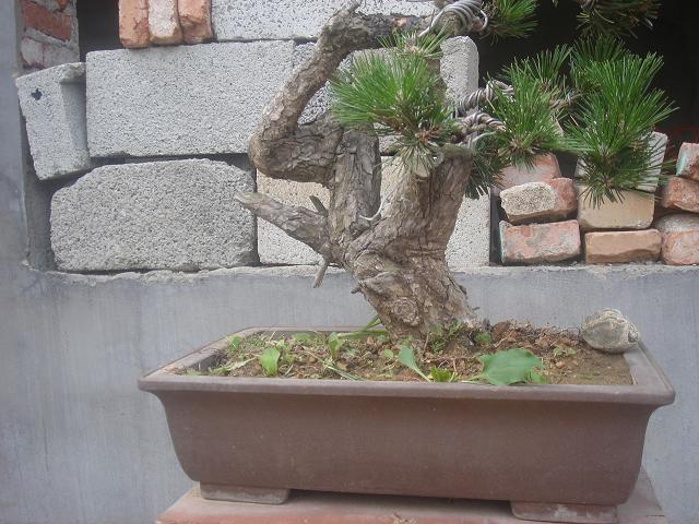 DSC06195.JPG