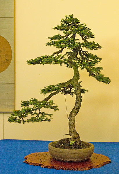 DSC_2485.jpg