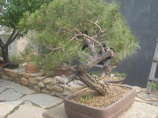 DSC06199.JPG