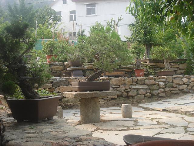 DSC06203.JPG