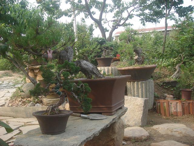 DSC06204.JPG