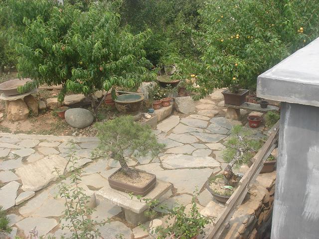 DSC06215.JPG
