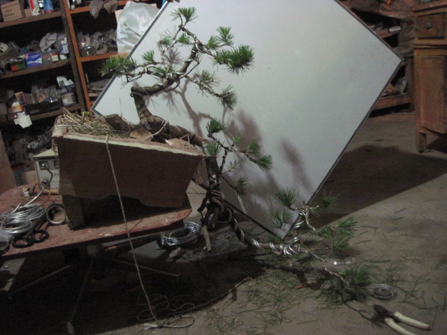 20120621һС 003.jpg