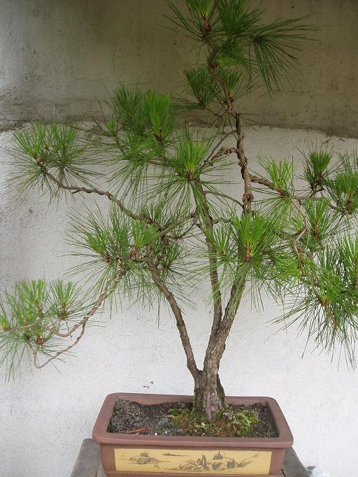 P1010925.JPG