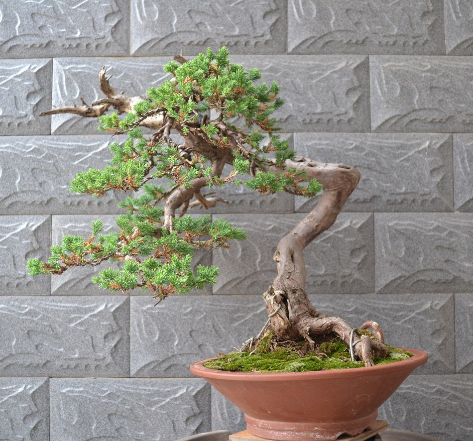 Ƭ 059.jpg