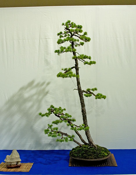 DSC_5667v.jpg