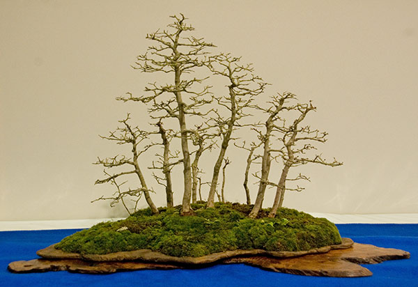 DSC_5704v.jpg