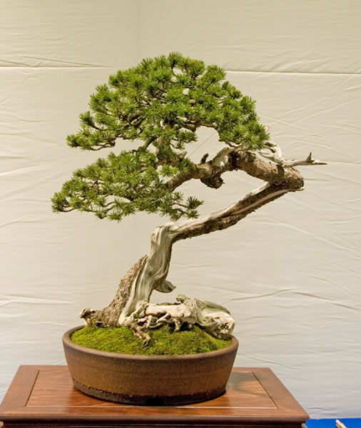 DSC_5719v.jpg