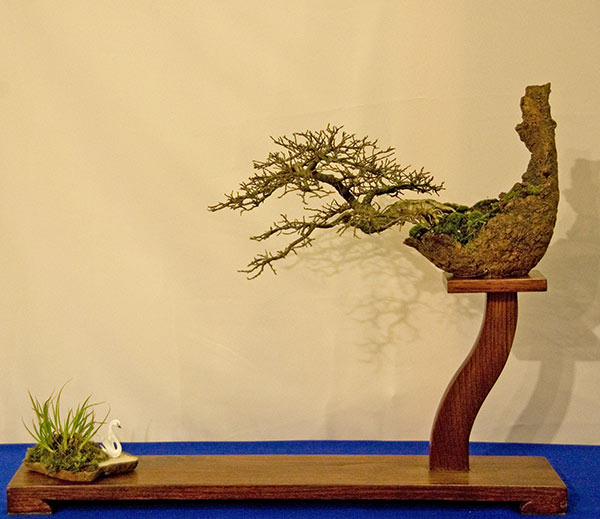 DSC_5740v.jpg