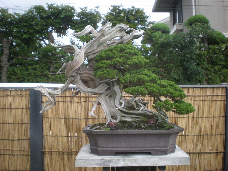 P6130001.jpg