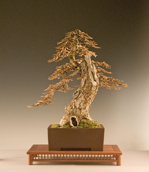 DSC_8889v.jpg
