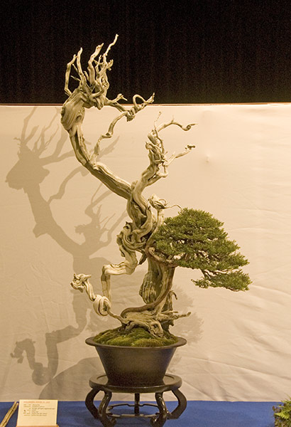 DSC_8904v.jpg