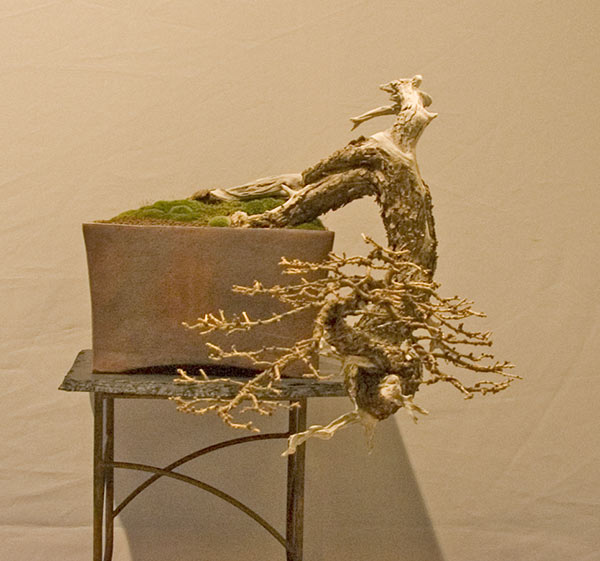 DSC_8921v.jpg