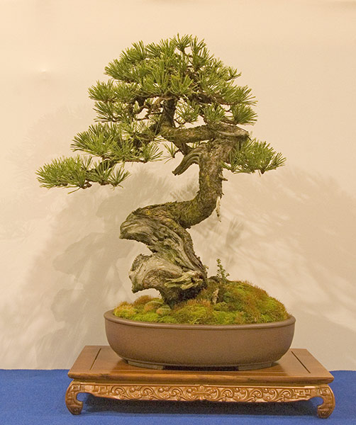 DSC_8925v.jpg