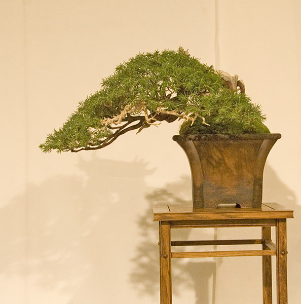 DSC_8935v.jpg