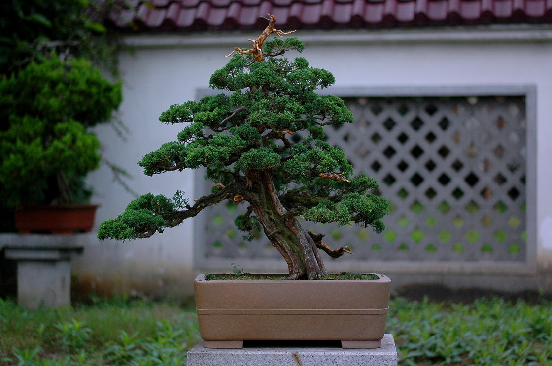 DSC_4876__resize.jpg