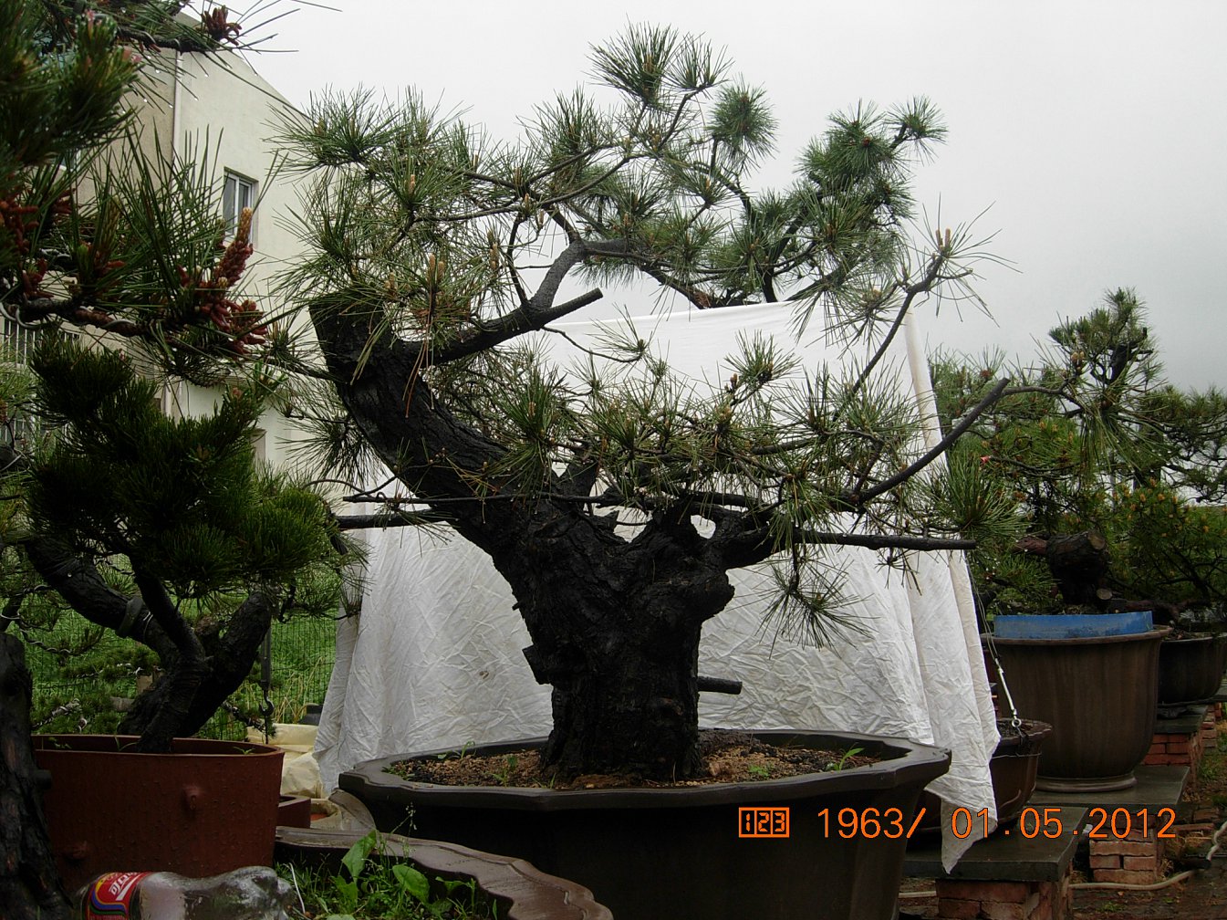 DSCN6019.JPG