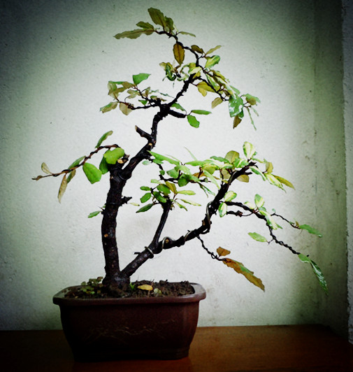 Ƭ 048_.jpg