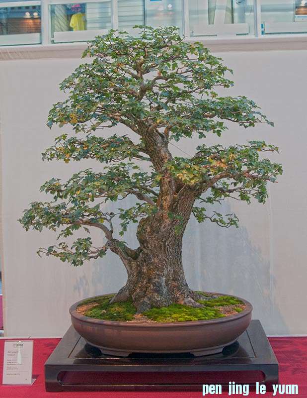 QDSC_7209w.jpg
