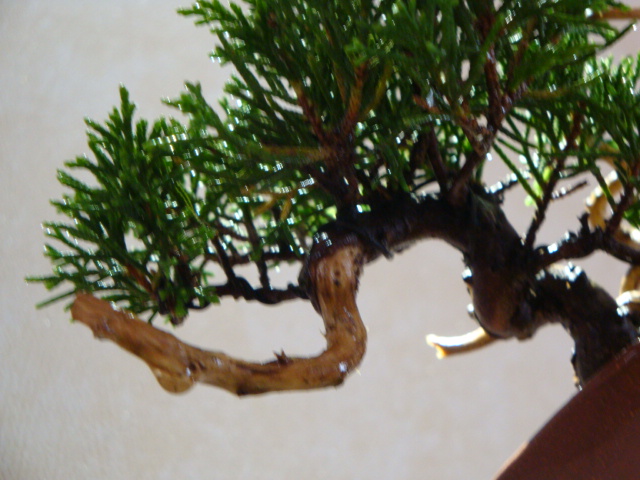 DSC09345.JPG