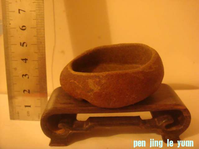 DSC03246.JPG