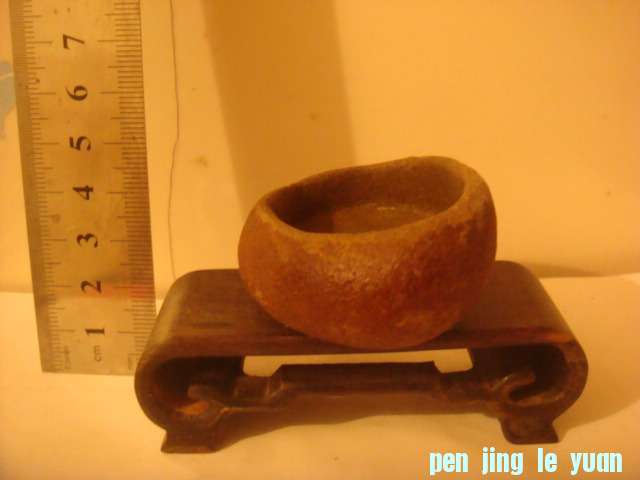 DSC03247.JPG