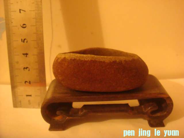 DSC03248.JPG