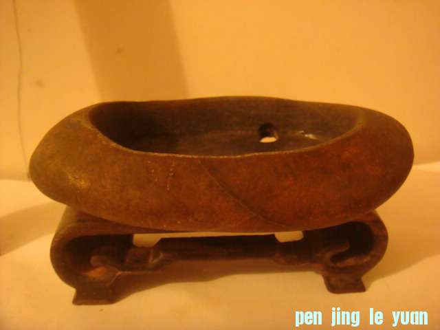 DSC03252.JPG