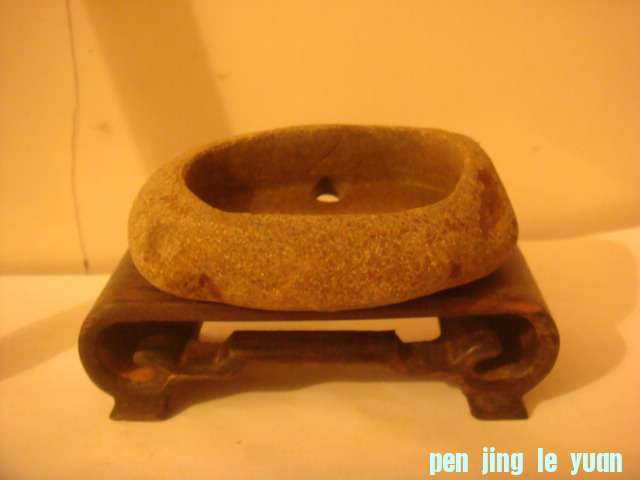 DSC03257.JPG
