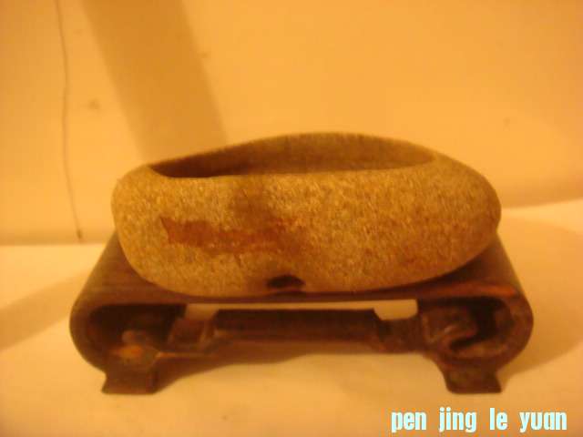 DSC03258.JPG