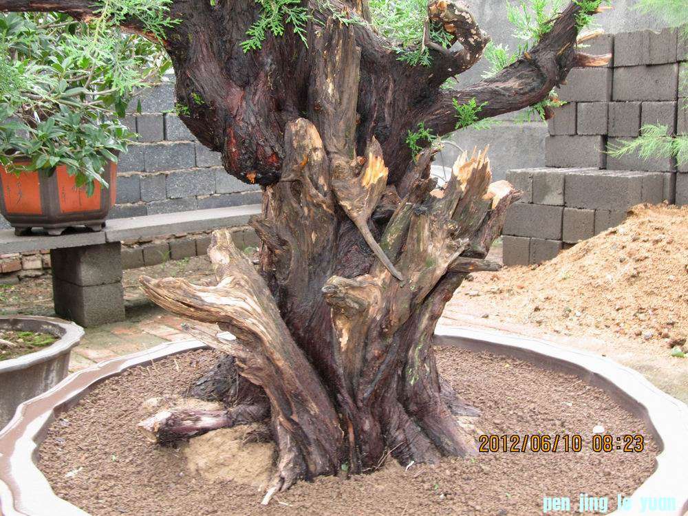 Ƭ 042.jpg