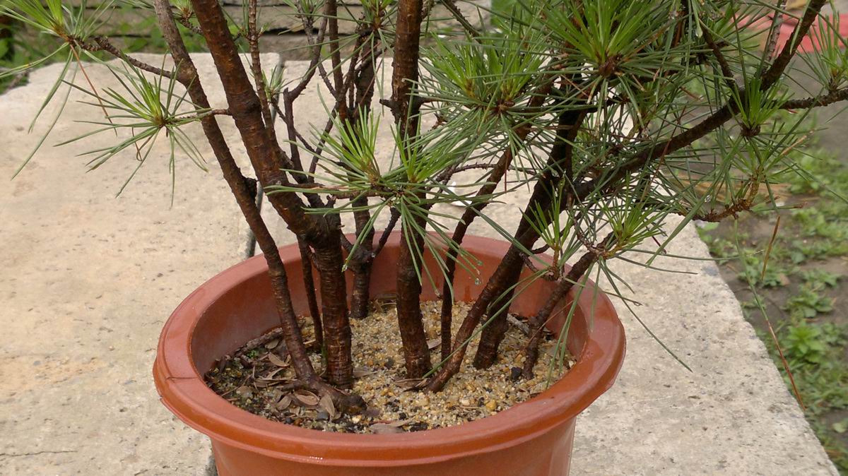 20120629278.jpg